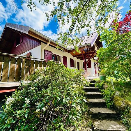 LES CIMES BLANCHES CLEDICIHOME Chalet 8 pers SPA&Grand terrain 4 MINUTES DES PISTES La Bresse Extérieur photo