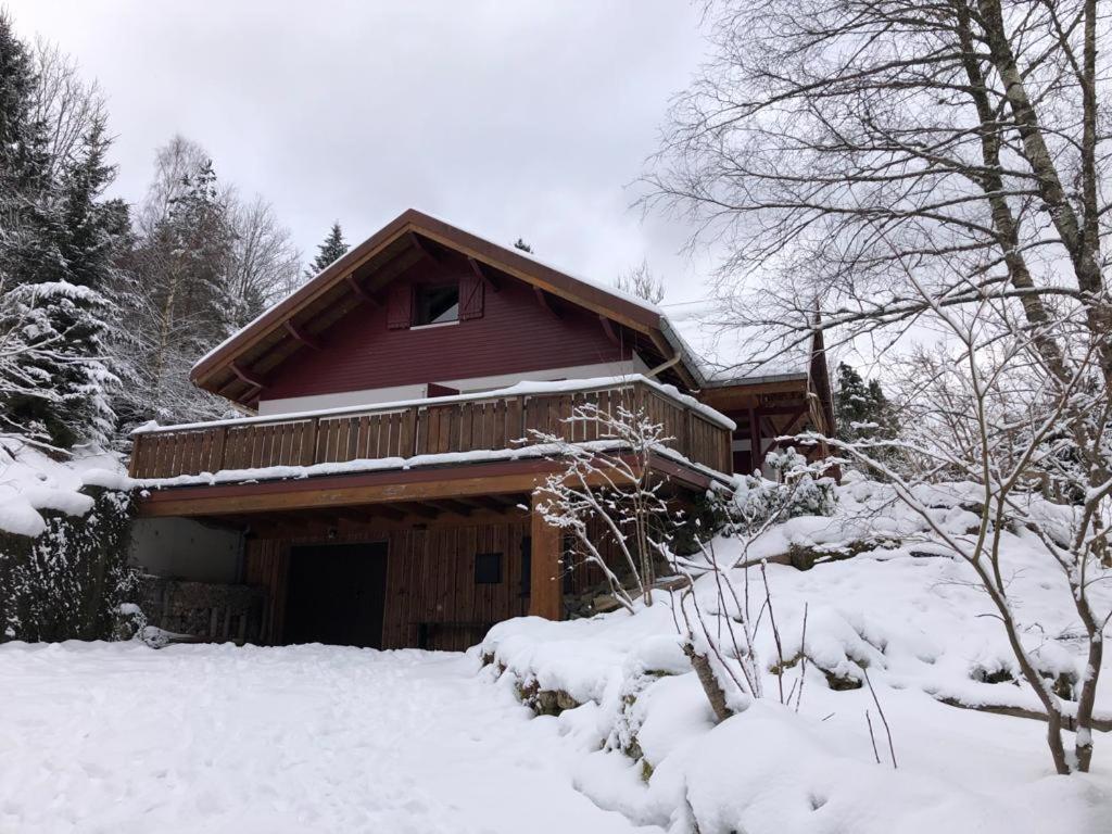 LES CIMES BLANCHES CLEDICIHOME Chalet 8 pers SPA&Grand terrain 4 MINUTES DES PISTES La Bresse Extérieur photo