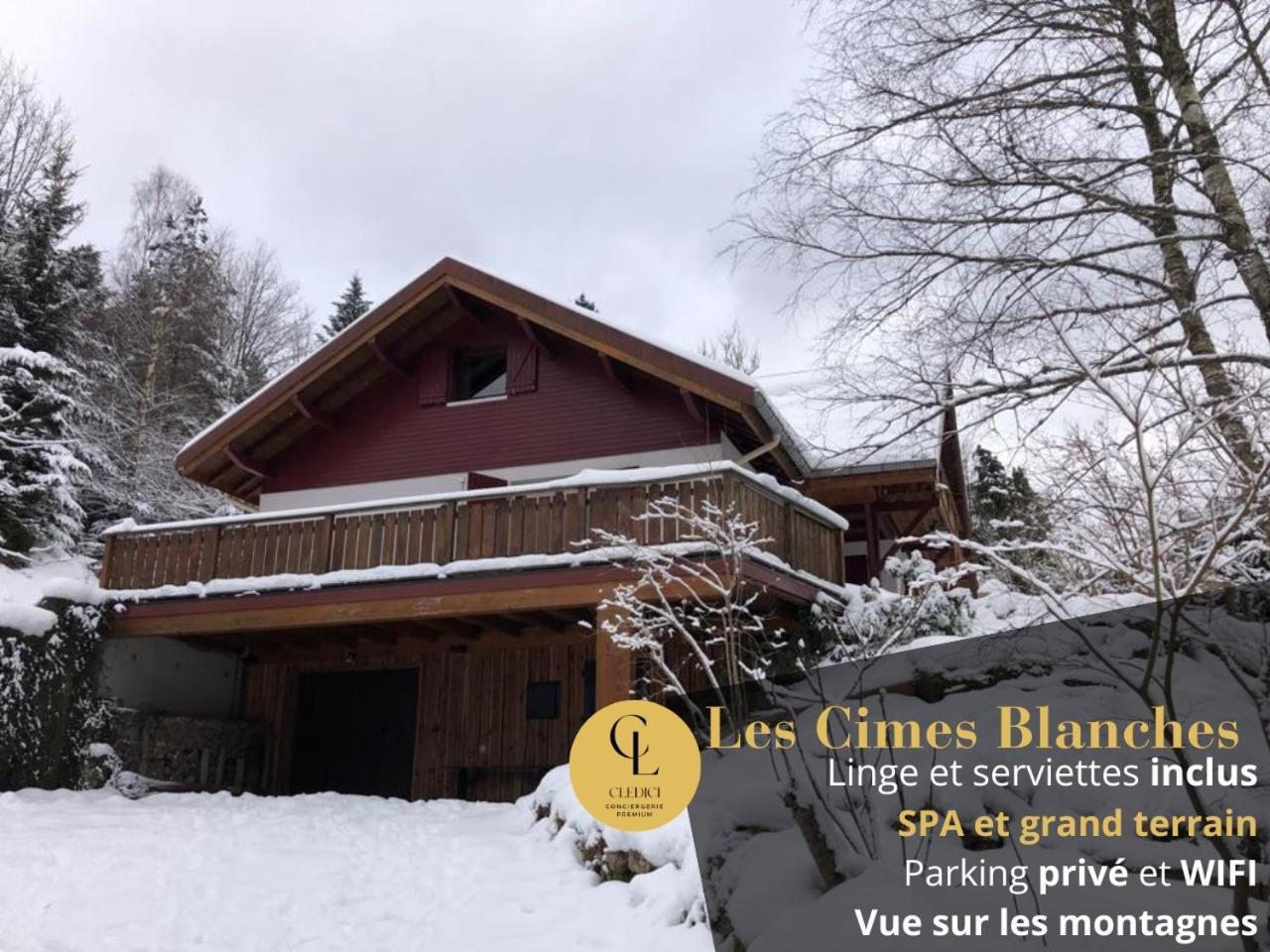 LES CIMES BLANCHES CLEDICIHOME Chalet 8 pers SPA&Grand terrain 4 MINUTES DES PISTES La Bresse Extérieur photo